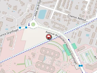 Carte de Cerfacs à Toulouse