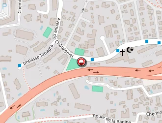 Carte de Green's Carpet Clean à Grasse