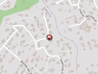 Carte de Luce Philippe à Golfe juan (le)