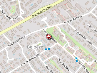 Carte de T.s.t à Tournefeuille