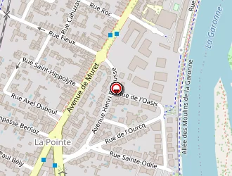 Carte de Gomez Enriqué à Toulouse