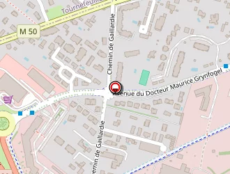 Carte de Micro Lourenco à Toulouse