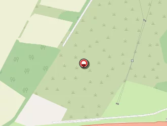 Carte de Brayer André à Léguevin