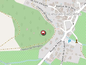 Carte de Delmas Pierre à Lieuran-cabrières