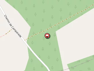 Carte de Absolu Bois à Misson