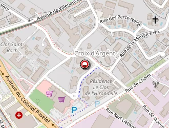 Carte de Jv Racing à Montpellier