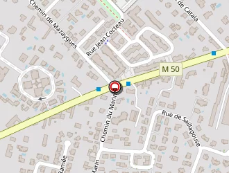 Carte de Opening Institut à Toulouse