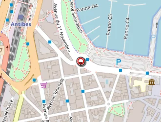 Carte de Garevski Boris à Antibes juan les pins