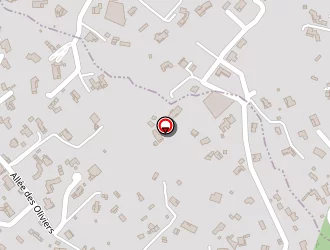 Carte de Societe Dlv à Vallauris