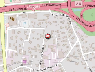 Carte de Taxi Bois à Mougins