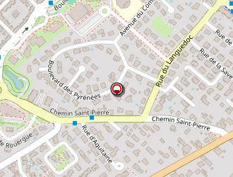 Carte de Da Silva Frédéric à Tournefeuille