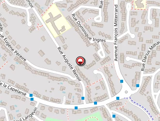 Carte de Vilmant Cyril à Castres