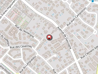 Carte de Raby Michel à Tournefeuille