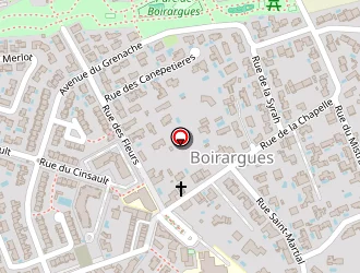 Carte de Saveurs Du Monde à Lattes