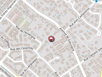 Carte de Belleville Alain à Tournefeuille