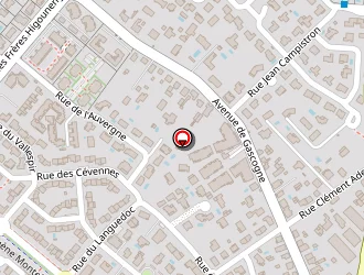 Carte de Zadeh Robert à Tournefeuille