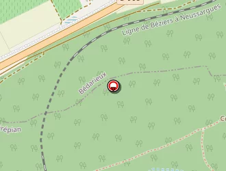 Carte de Les 4's à Hérépian