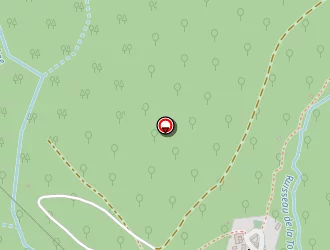 Carte de Thomas Pierre à Saint-julien