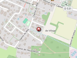 Carte de Lafforgue Christine à Pujaudran