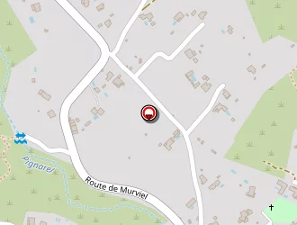 Carte de Negro Sylviane à Pignan