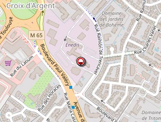 Carte de Annie Fleury à Montpellier