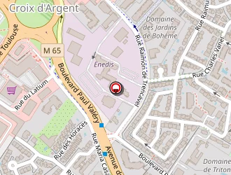 Carte de Fleury Annie à Montpellier