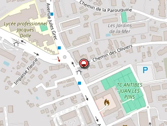 Carte de Mister Pizza à Antibes juan les pins