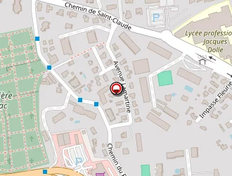 Carte de Scherpereel Olivier à Antibes juan les pins