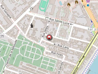 Carte de Institut Joëlle à Toulouse