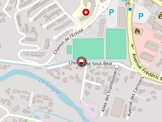 Carte de Cizabuiroz Bernard à Pégomas