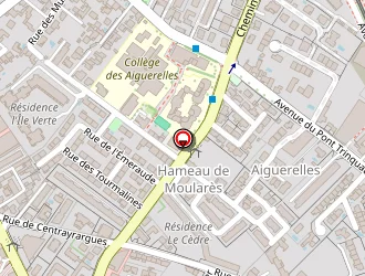 Carte de Benhamimed Nassira à Montpellier