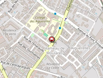 Carte de Massip Anne à Montpellier