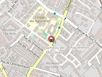 Carte de Chalme Maryne à Montpellier