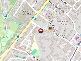 Carte de Ronin à Montpellier