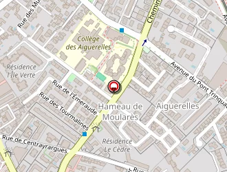 Carte de Chavez Olga à Montpellier