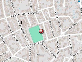 Carte de Fontvieille Patrick à Toulouse