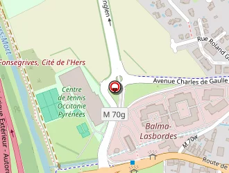 Carte de Bardinet à Balma