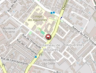 Carte de Leenhardt Sonia à Montpellier