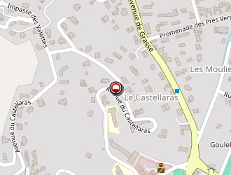 Carte de Taxi Vip à Pégomas