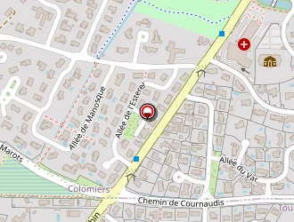 Carte de Elisa Sales à Colomiers