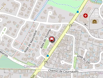 Carte de Verniole Emmanuelle à Colomiers