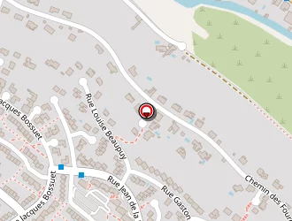 Carte de Bonafe Michel à Castres