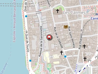 Carte de Pradel Camille à Toulouse