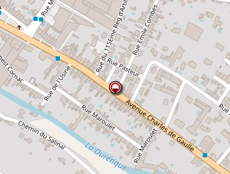 Carte de Castres Olympique à Castres