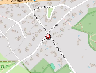 Carte de Gmd Conseils à Mougins