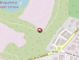 Carte de Technisol à Colomiers