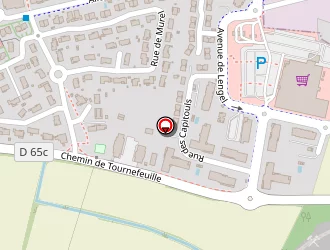 Carte de Pinel Alain à Léguevin