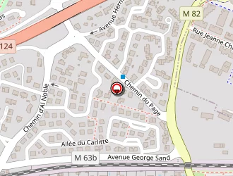 Carte de Chaumel Luc à Colomiers