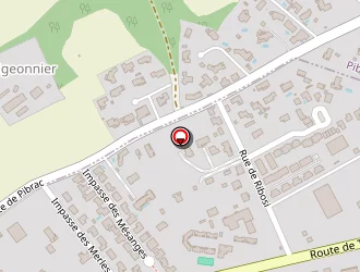 Carte de Berrocal Mata Theodore à Léguevin