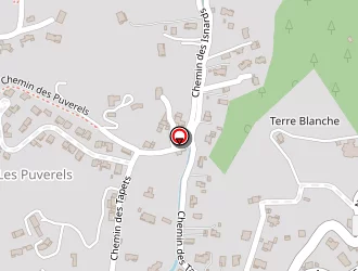 Carte de Laizet Georges à Pégomas